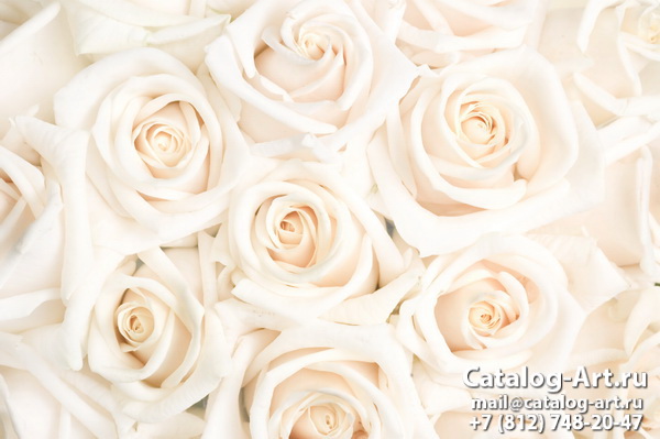 White roses 34